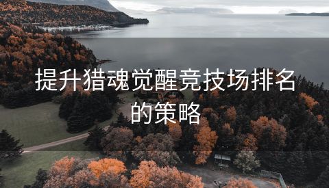 提升猎魂觉醒竞技场排名的策略
